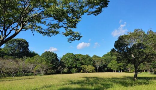 浜松市の気功教室「ゆるっと気功（瞑想会）」